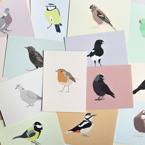 Cartes postales minimalistes et colorées d'oiseaux - Lot de 12