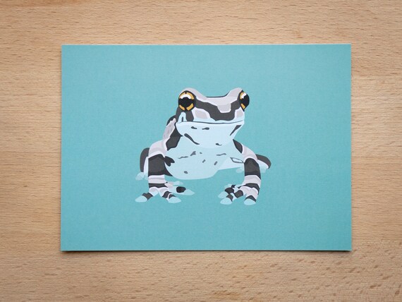 Amazon Milch Frosch Postkarte Blau | Etsy Österreich