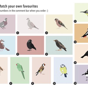 Minimalistic and Colourful Bird Postcards Set of 10 Mix & Match image 7