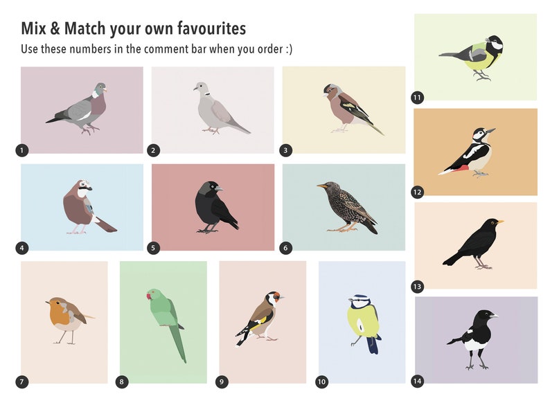 Minimalistic and Colourful Bird Postcards Set of 10 Mix & Match image 7