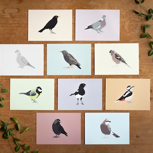 Minimalistic and Colourful Bird Postcards Set of 10 Mix & Match image 1