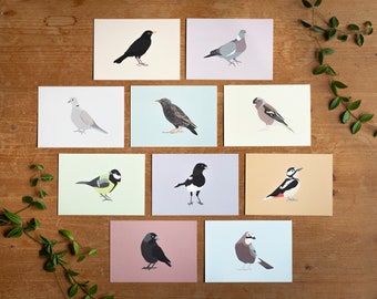 Minimalistic and Colourful Bird Postcards - Set of 10 - Mix & Match