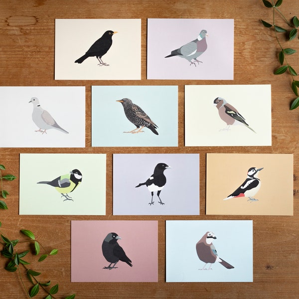 Minimalistic and Colourful Bird Postcards - Set of 10 - Mix & Match