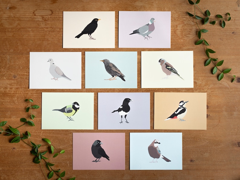 Minimalistic and Colourful Bird Postcards Set of 10 Mix & Match image 1