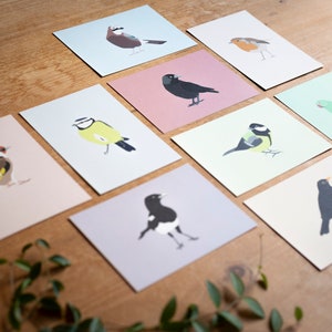 Minimalistic and Colourful Bird Postcards Set of 10 Mix & Match image 6