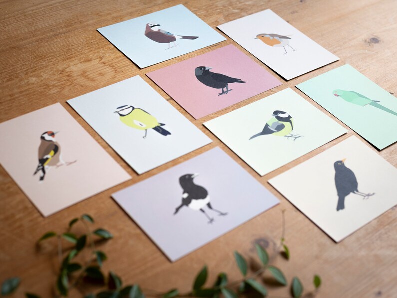 Minimalistic and Colourful Bird Postcards Set of 10 Mix & Match image 6