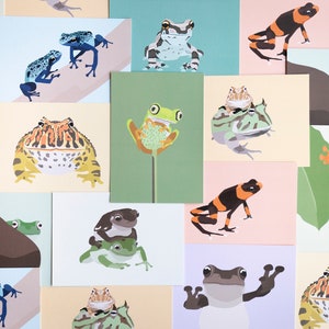 Minimalistic and Colourful Frog Postcards - Set of 8