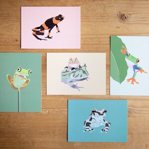 ミニマルでカラフルなカエルのポストカード - 5 枚セット - ミックス & マッチ