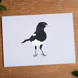 Minimalistic and Colourful Bird Postcards Set of 10 Mix & Match image 3