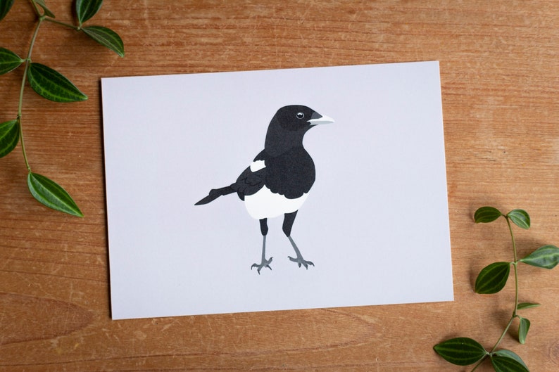 Minimalistic and Colourful Bird Postcards Set of 10 Mix & Match image 3