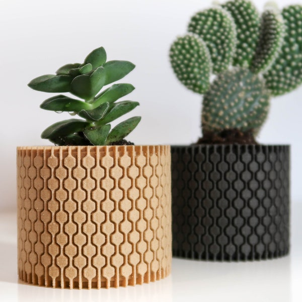 cache-pot plantes vertes et cactus HEXO • objet déco maison • objet design bois • idée cadeau Noël • petit cadeau •