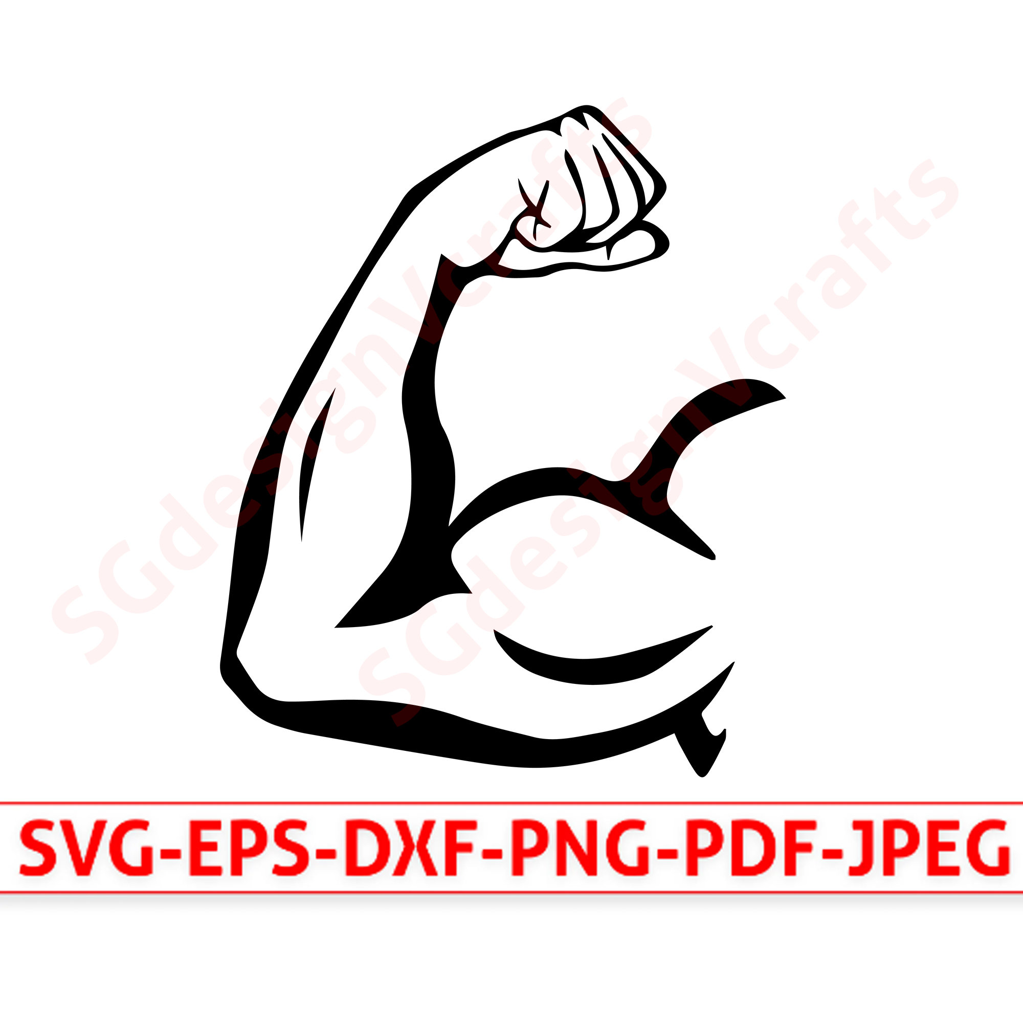 arm muscle clip art