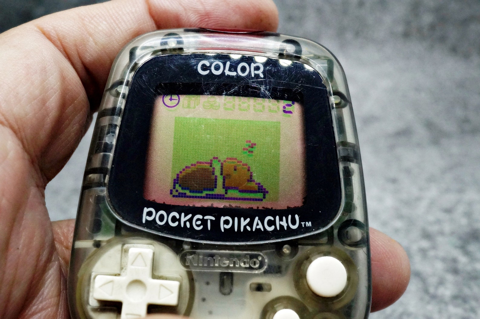 Pocket Pikachu Color Nintendo Pedometer Pokemon Virtual Pet Etsy