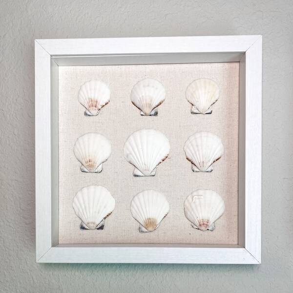Seashell Shadow Box - Etsy