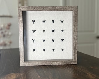 Fossilized Shark Teeth in a Wooden 9"x9" Shadow Box