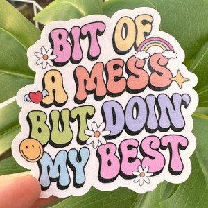 May include: A sticker with a retro font design that says "Bit of a mess but doin' my best". The sticker has a rainbow, a heart with wings, and several daisies.