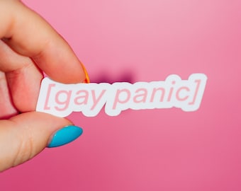 Gay Panic Sticker, Funny Meme Heart, LGBTQ+ Friendly, Safe Space, Laptop Sticker, Water Bottle Stopper, Gay Pride Equality, Pop Culture