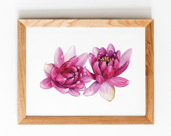 Pink Water Lilies *Limited Edition Giclée Print* Wall Art