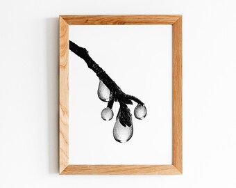 Fresh Rain *Art Print*