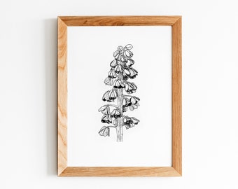 Fritillaria *Original Artwork*