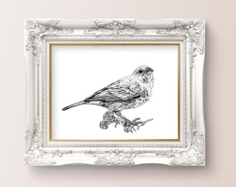 Winged Visitor *Limited Edition Giclee Print*