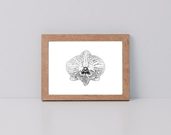 Orchid *Limited Edition Giclee Print*
