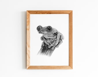 Tree Frog Graphite Drawing *Limited Edition Giclée Print* Wall Art