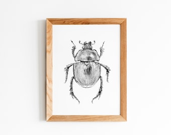 Scarab *Art Print*