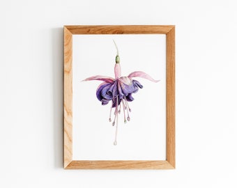 Fuchsia *Limited Edition Giclée Print* Wall Art