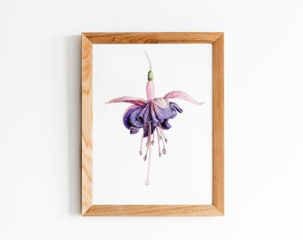 Fuchsia *Limited Edition Giclée Print* Wall Art