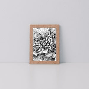 Marigold *Limited Edition Giclee Print*