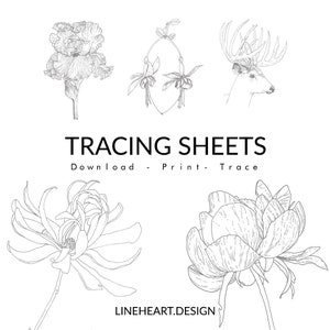 Botanical Tracing Sheets for Pen and Ink Line Art Practice and Relaxation | Digital Download