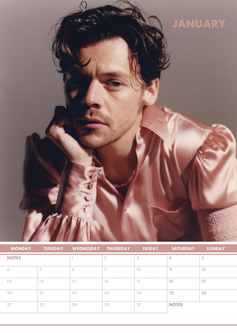 2025 Harry Styles Calendar A3 Size Etsy