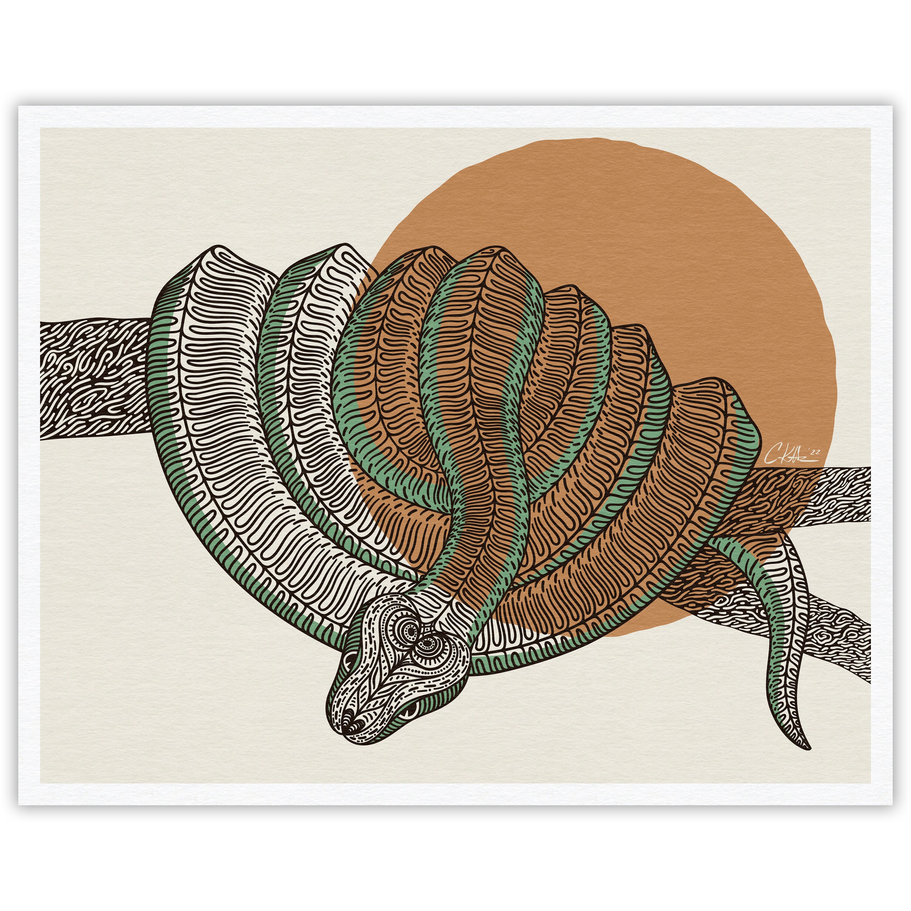 Printable Tree Boa Coiled Emerald Tree Boa (patterned Snake) Giclée Art Print - Etsy