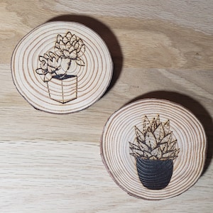 Succulent Wood Slice Coasters