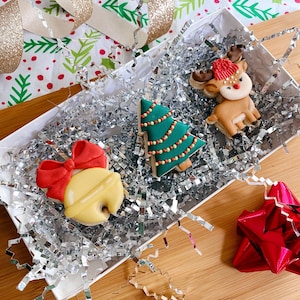 Set of 10 Advent Holiday Christmas Cookie Cutters 3D Printed Cutters Xmas Cutter Set
