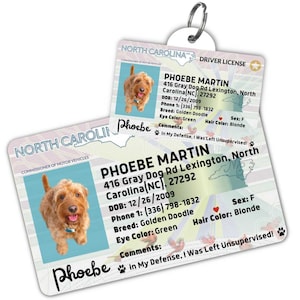 Custom dog tag Personalized pet ID tag Cat collar tag Engraved dog name tag Cute cat name tag Dog ID tag Pet tag for puppy (North Carolina)
