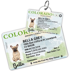 Custom dog tag Personalized pet ID tag Cat collar tag Engraved dog name tag Cute cat name tag Dog ID tag Pet tag for puppy (Colorado)