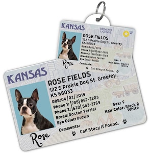 Custom dog tag Personalized pet ID tag Cat collar tag Engraved dog name tag Cute cat name tag Dog ID tag Pet tag for puppy (Kansas)