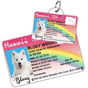 Custom dog tag Personalized pet ID tag Cat collar tag Engraved dog name tag Cute cat name tag Dog ID tag Pet tag for puppy (Hawaii)