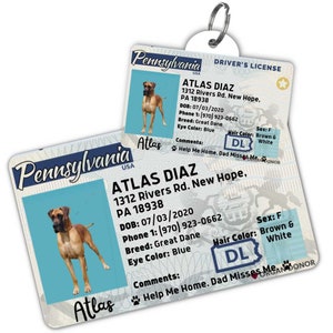 Individueller Hundeanhänger Personalisierte Haustier-ID-Anhänger Katzenhalsband-Anhänger Graviertes Hunde-Namensschild Niedliches Katzen-Namensschild Hunde-ID-Anhänger Haustier-Anhänger für Welpen (Pennsylvania)
