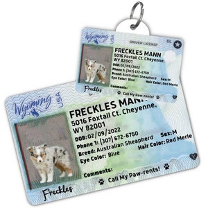 Custom dog tag Personalized pet ID tag Cat collar tag Engraved dog name tag Cute cat name tag Dog ID tag Pet tag for puppy (Wyoming)