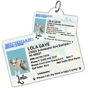 Custom dog tag Personalized pet ID tag Cat collar tag Engraved dog name tag Cute cat name tag Dog ID tag Pet tag for puppy (Michigan)