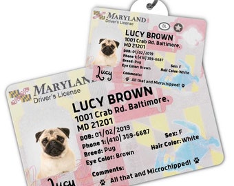 Benutzerdefinierte Hundemarke Personalisierte Haustier-ID-Tag Katzenhalsband-Tag Graviertes Hundenamensschild Niedliches Katzen-Namensschild Hunde-ID-Tag Haustiermarke für Welpe (Maryland)