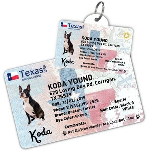 Targhetta per cani personalizzata Targhetta identificativa per animali domestici Targhetta per collare per gatti Targhetta per nome del cane incisa Targhetta per nome simpatico gatto Targhetta per cane Targhetta per animale domestico per cucciolo (Texas)