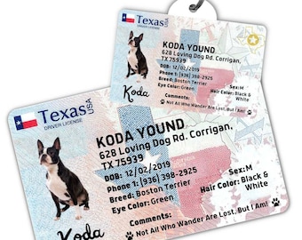 Custom dog tag Personalized pet ID tag Cat collar tag Engraved dog name tag Cute cat name tag Dog ID tag Pet tag for puppy (Texas)