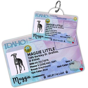 Benutzerdefinierte Hundemarke Personalisierte Haustier-ID-Tag Katzenhalsband-Tag Graviertes Hundenamensschild Niedliches Katzen-Namensschild Hunde-ID-Tag Haustiermarke für Welpe (Idaho)
