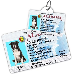 Custom dog tag Personalized pet ID tag Cat collar tag Engraved dog name tag Cute cat name tag Dog ID tag Pet tag for puppy (Alabama)