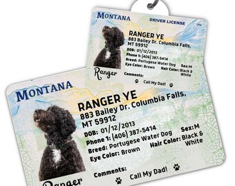 Custom dog tag Personalized pet ID tag Cat collar tag Engraved dog name tag Cute cat name tag Dog ID tag Pet tag for puppy (Montana)