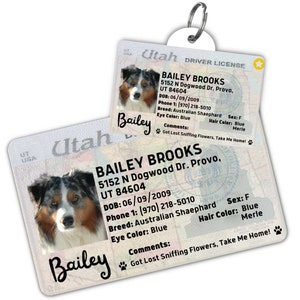Custom dog tag Personalized pet ID tag Cat collar tag Engraved dog name tag Cute cat name tag Dog ID tag Pet tag for puppy (Utah)